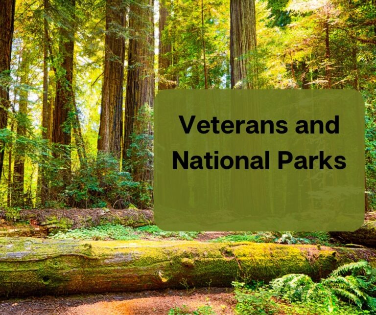 Veterans and National Parks