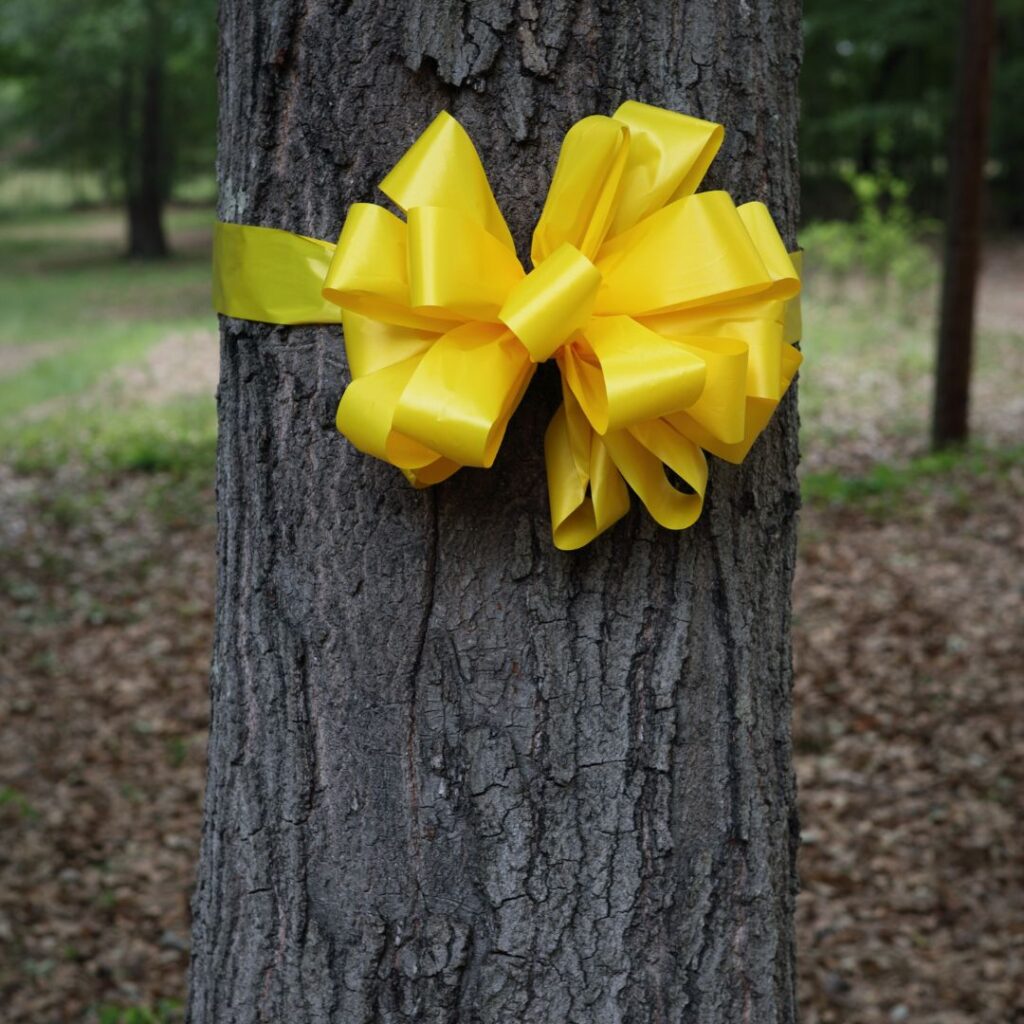 Yellow ribbon tied around a tree