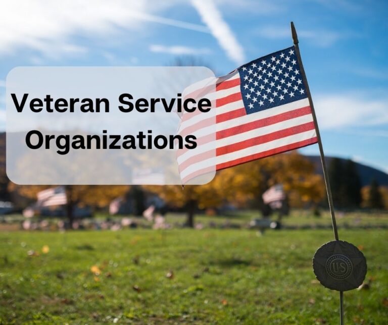 Honoring the Brave: Impactful Initiatives by Veteran Support Groups